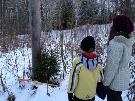 Um Arvore de Natal, foi dificil de cortar